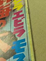 ゴジラ・エビラ・モスラ 南海の大決闘　/　これが青春だ　　映画パンフレット