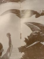 ゴジラ・エビラ・モスラ 南海の大決闘　/　これが青春だ　　映画パンフレット