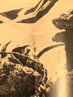 ゴジラ・エビラ・モスラ 南海の大決闘　東宝チャンピオンまつり　　映画パンフレット