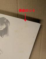 高岡早紀　写真集　限定版　one,two,three saki takaoka kishin shinoyama