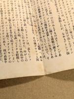 暴力団　映画 プレスシート　コーネル・ワイルド　初版　三つ折り