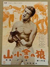 山小舎の狼　映画 プレスシート　初版　三つ折り