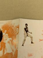 山小舎の狼　映画 プレスシート　初版　三つ折り