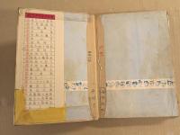 西遊記　第3巻　(手塚治虫漫画全集 17)