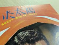 渇いた太陽　映画パンフレット　ニュー東宝　初版　ポール・ニューマン