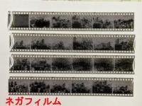 格闘技世界一決定戦　半券　パンフレット　当日の写真のネガ22枚　セット　(アントニオ猪木 vs モハメッド・アリ　日本武道館)