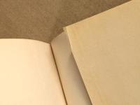 新しいトロリーバス　　鉄道新書29