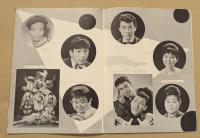 日劇ミュージックホール　そっと乳房は夢を見る　パンフレット　小浜奈々子　(NMH創立10周年記念公演)