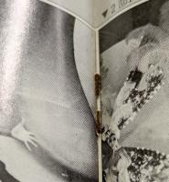 日劇ミュージックホール　ハロー'80ビーナスの初夢　パンフレット