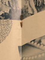 日劇ミュージックホール　恍惚の体験　パンフレット