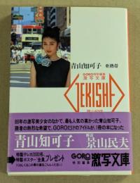 青山知可子　写真集　亜熱帯　GORO特別編集　激写文庫