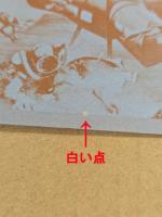 太陽のとどかぬ世界　小さな冒険者　映画チラシ　自由ヶ丘東宝