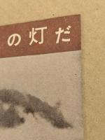 翼よ!あれが巴里の灯だ　　映画チラシ　冊子型