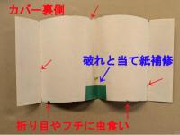 南海キッド　おもしろブック八月号ふろく