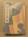 探偵小説　失はれた花嫁