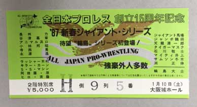 侍ジャパンシリーズ 内野席チケット半券 脱がせ
