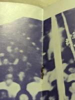 矢沢永吉　コンサート パンフレット　33000 MILES ROAD JAPAN  付録付き