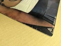 昭和残侠伝　吼えろ唐獅子　(高倉健)