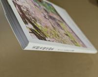 美樹本晴彦画集　そこにいる少女たちの情憬 　 Girl's Scenery