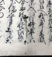 寛政皇都鏡　秘録　全