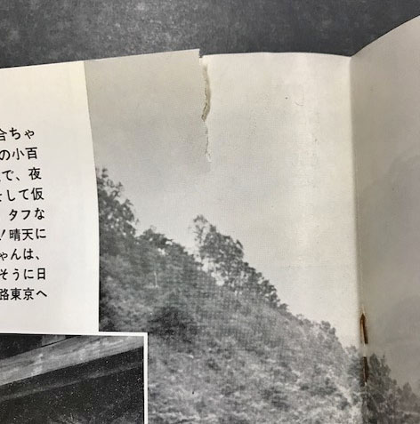吉永小百合 ファンクラブ会誌 「さゆり」 第16号～第29号のうち