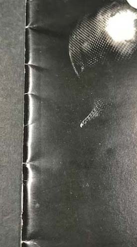 荒木博志 ECSTATIC MECHANISM HIROSHI ARAKI (荒木博志 渡辺裕一(撮影