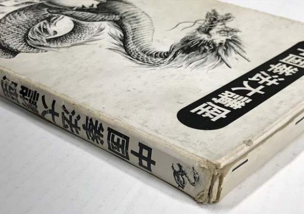 人体急所図 中国拳法振興会 - メルカリ