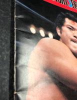 ブラディ・ファイト・シリーズ　1979　プロレス パンフレット