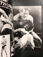 ブラディ・ファイト・シリーズ　1979　プロレス パンフレット