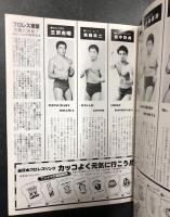 '81 スーパーアイドル・シリーズ　プロレスパンフレット (第3戦 三沢デビューシリーズ)