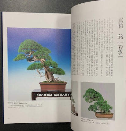 Amazon.co.jp: 盆栽作品集 瑞穂 森山和雄 1500部 限定 : DIY