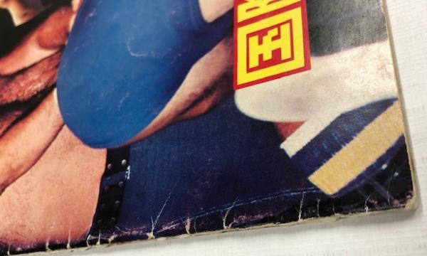 国際プロレス '79 DYNAMITE SERIES (プロレス パンフレット) / 古本、中古本、古書籍の通販は「日本の古本屋」 / 日本の古本屋 国際プロレス '79 DYNAMITE SERIES (プロレス パンフレット) / 古本、中古本、古書籍の通販は「日本の古本屋」 / 日本の古本屋