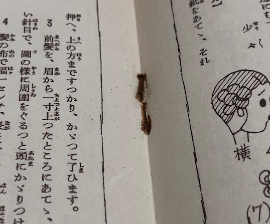 皇軍慰問 お人形帖 (少女の友 昭和13年8月号付録)(作：中原淳一