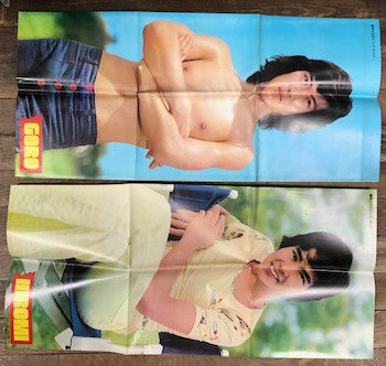 平凡 1973年8月 5大付録揃い / 古本、中古本、古書籍の通販は
