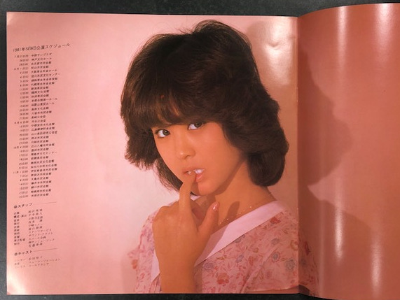 松田聖子1981年カレンダー 聖少女 www.moyleabbey.ie