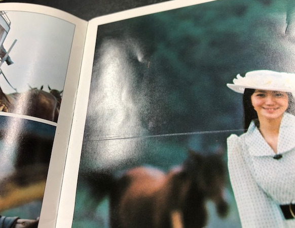 麻丘めぐみ　ファンクラブ発行　LOVELY　LEMON　TEEN 麻丘めぐみ パンフレット LOVELY LEMON TEEN ⁄ 古本、中古本、古書籍の