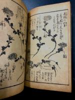 諸流　生花早指南　全