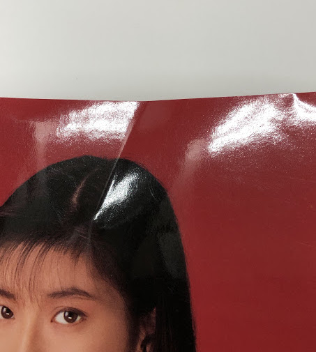 森高千里 1991年 コンサートパンフレット ザ・森高 / 古本、中古本、古