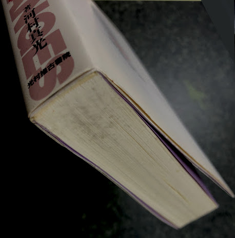 楽天ブックス: 易経読本 - 入門と実践 - 河村真光