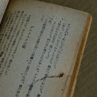 地球盗難   科学長篇小説