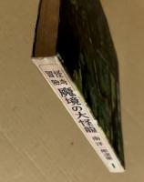 怪奇冒険　魔境の大怪龍　(南洋一郎選集1　痛快文庫)