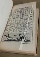 怪奇冒険　魔海の黄金塔　(南洋一郎選集7　痛快文庫)