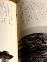 真昼の一匹狼　映画パンフレット