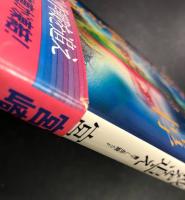 《虹》 作戦を追え