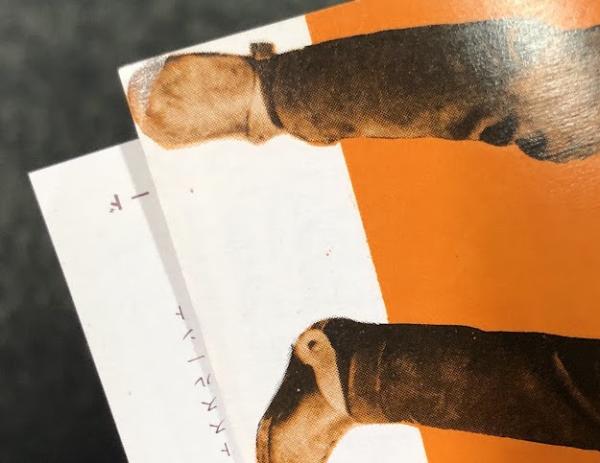 荒野の1ドル銀貨 二つ折り 映画チラシ ニュー東宝 / 古本、中古