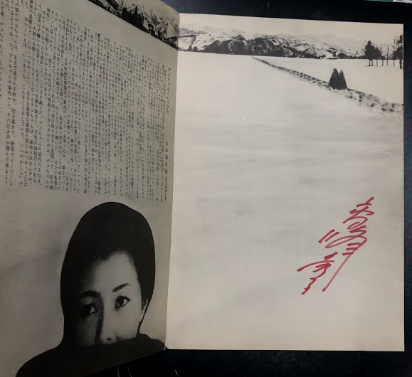 高峰秀子 直筆サイン入り 六條ゆきやま紬 ワールドプレミア 試写