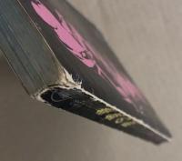 拳銃の歌