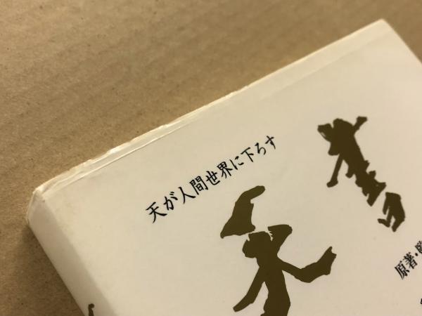 天書 天統の仙道指針書(原著・監修: 憪堂 翻訳・編著: 松鶴) / 古本