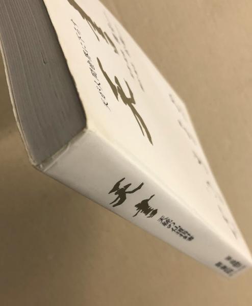天書 天統の仙道指針書 | 原著・監修: 憪堂 翻訳・編著: 松鶴 | 新生