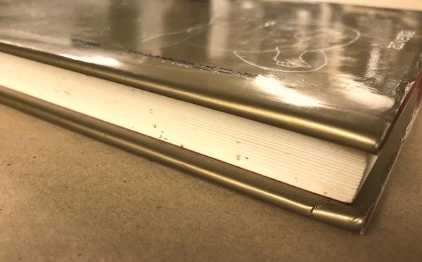 【中古】 慧命経/たにぐち書店/柳華陽 慧命経（絶版）柳華陽真人 - メルカリ